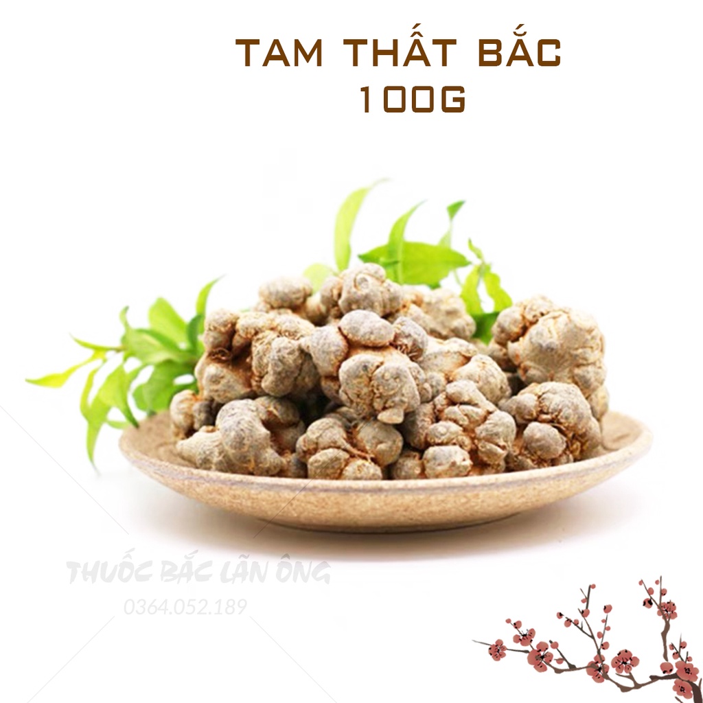 Củ tam thất bắc 100g (Loại to 5 củ/lạng, bồi bổ sức khỏe, tăng cường trí nhớ)