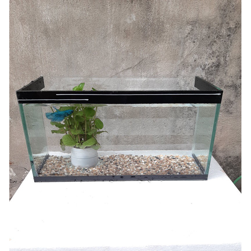 Bể cá viền keo đen, bể cá thủy sinh dài 30cm, rộng 15cm, cao 18cm