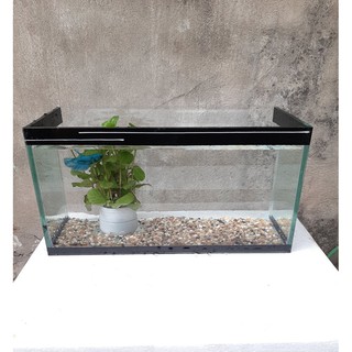 Bể cá viền keo đen, bể cá thủy sinh dài 30cm, rộng 15cm, cao 18cm