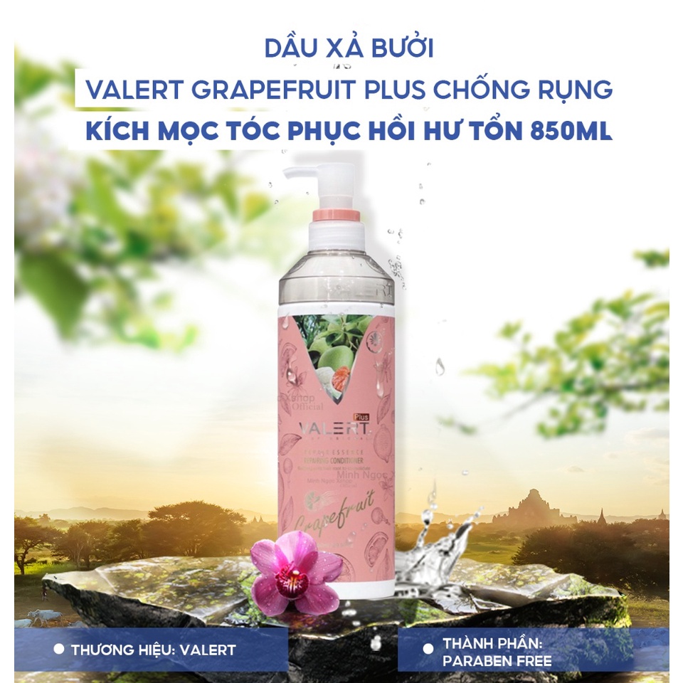 Dầu xả bưởi VALERT GRAPEFRUIT PLUS chống rụng kích mọc tóc phục hồi hư tổn 850ml