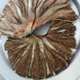 Cá đuối ghim Vân Đồn