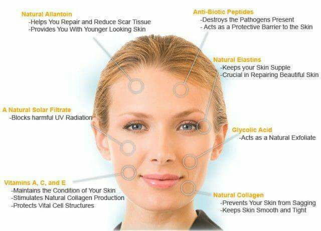 Allatoin tái tạo da 20g