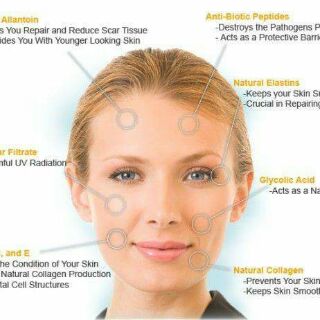 Allatoin tái tạo da 20g