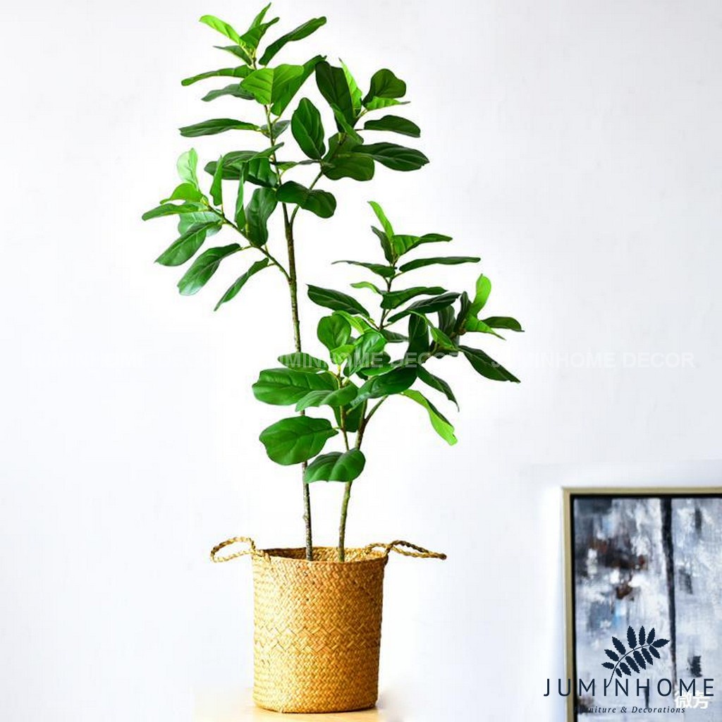 Cành bàng Singapore - Cây hoa giả Decor trang trí nhà cửa nội thất phòng khách, phòng ngủ