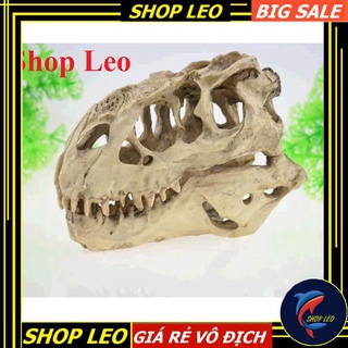 ĐẦU XƯƠNG KHỦNG LONG T- REX SIZE TO - HANG THỦY SINH