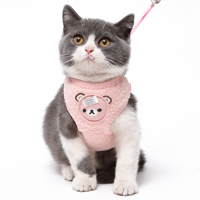 dây dắt yếm body teddy dành cho chó mèo