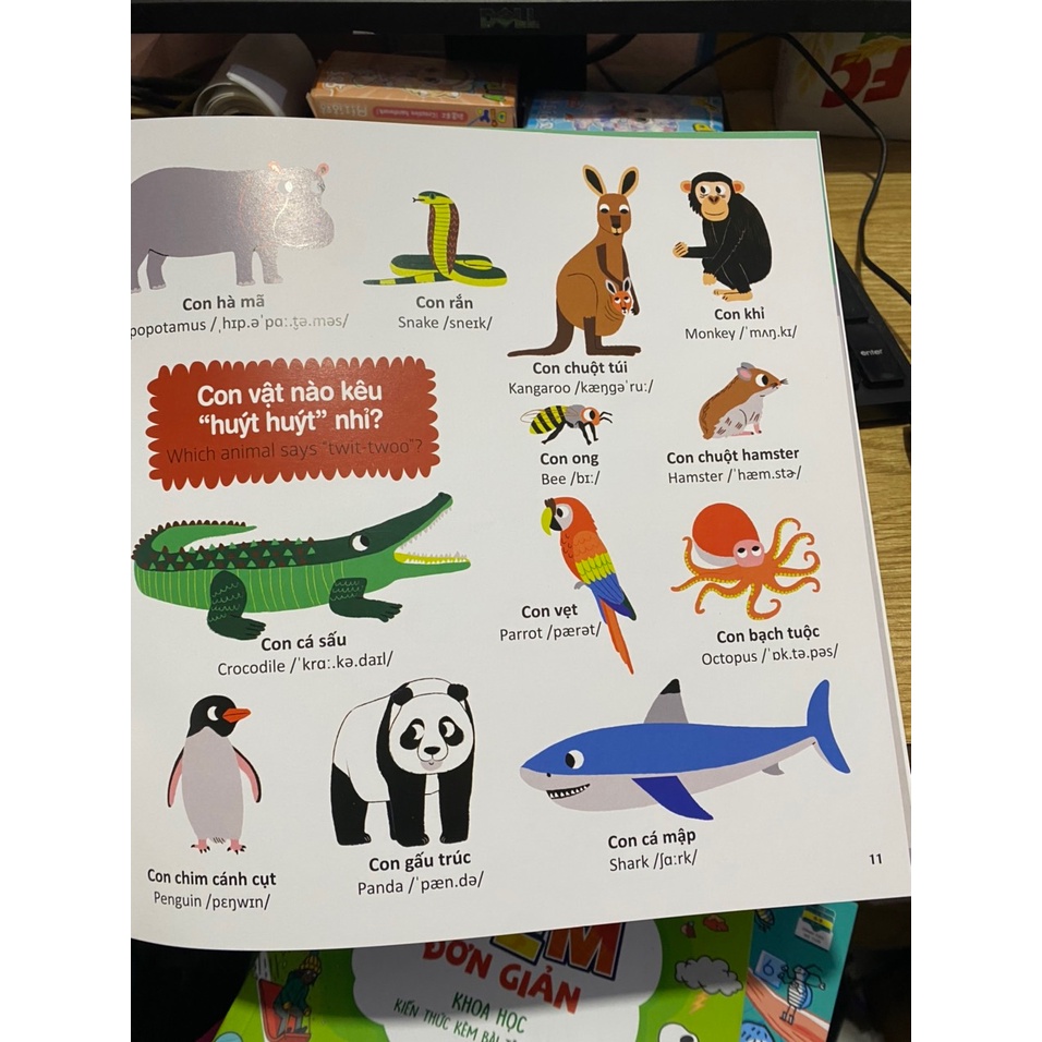 Sách - Thế giới từ vựng cho bé ( Đinh Tị )