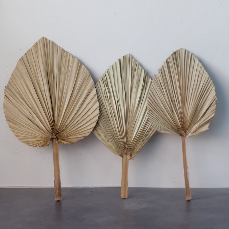 Cành lá cọ khô trang trí, cây khô trang trí sự kiện, tiệc - Jassi Decor
