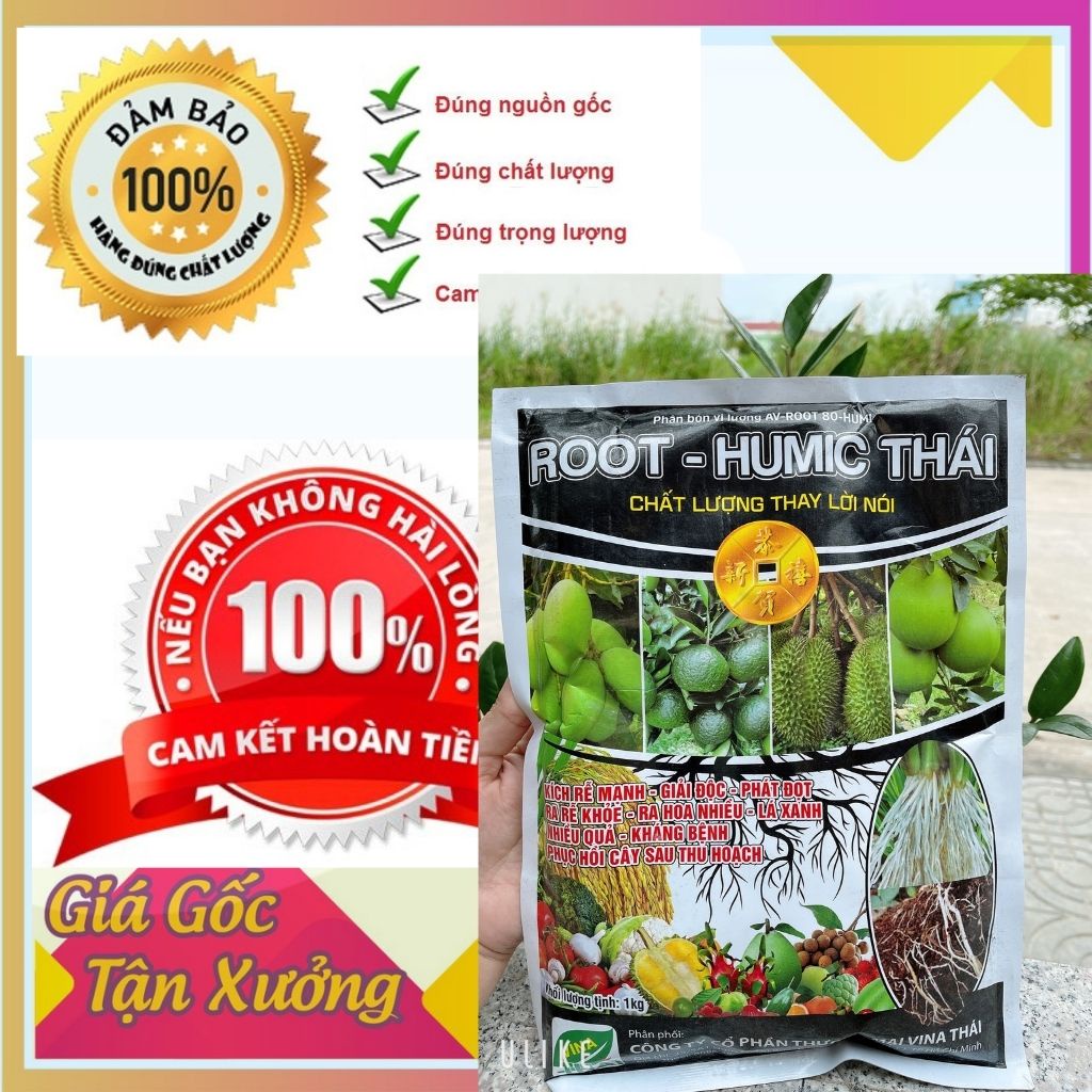 CHĂM SÓC CÂY ROOT HUMIC THÁI - KÍCH RỄ, TĂNG SỨC ĐỀ KHÁNG, PHỤC HỒI CÂY SAU THU HOẠCH, CẢI TẠO ĐẤT, GIẢI ĐỘC HỮU CƠ..