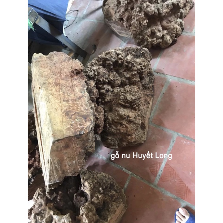 Vòng Tay Gỗ Nu Huyết Long HAHANCO Đem Lại Tài Lộc, Sức Khỏe, Bình An - BH642
