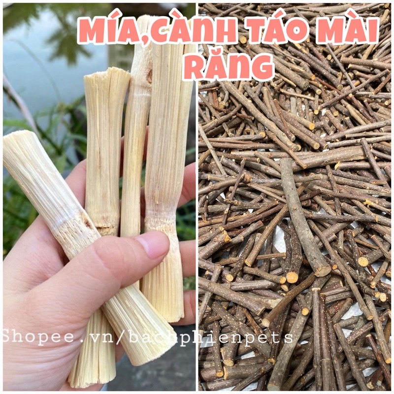 Cành táo mài răng, mía sấy mài răng cho Thỏ,GuineaPig, Hamster.