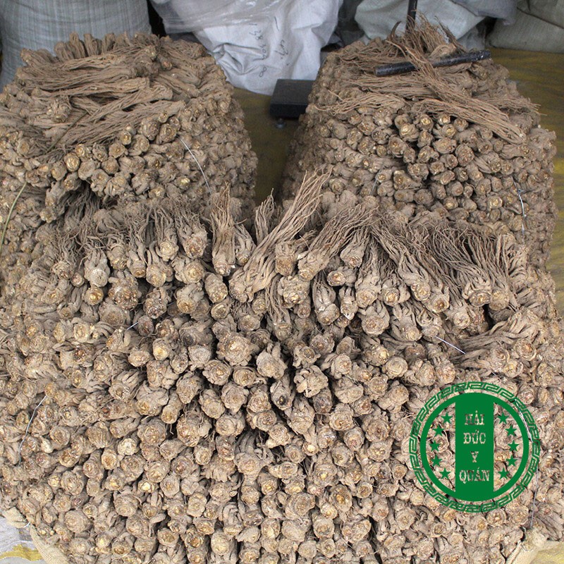 Đương Quy Cam Túc  Củ To, Thơm Hàng Thượng Phẩm