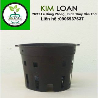 Combo 20 chậu lan nhựa đen phi 21 21x15cm