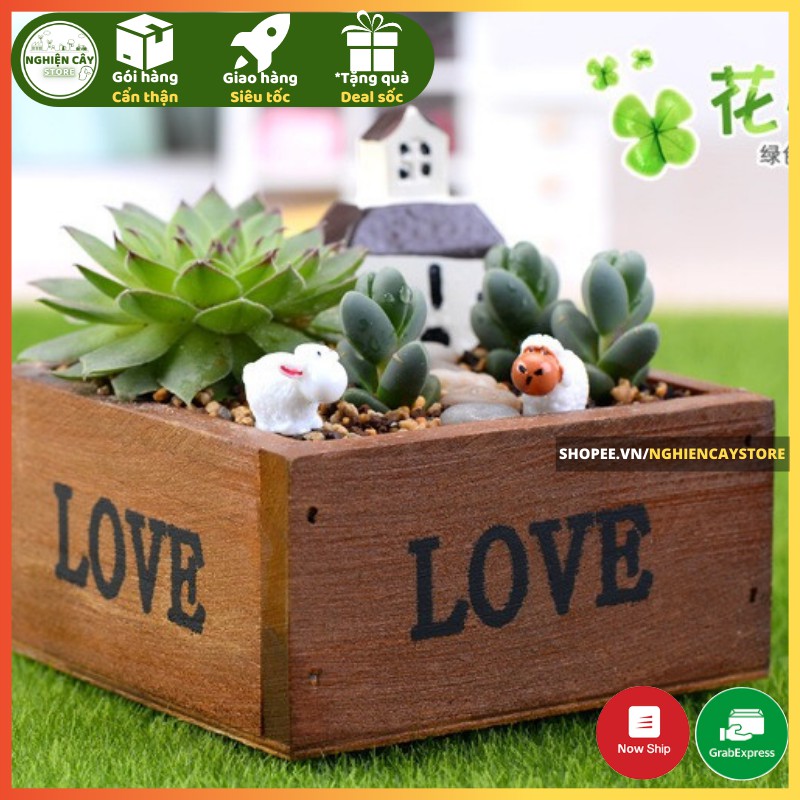 Chậu gỗ vuông trồng cây, làm tiểu cảnh, trồng sen đá in chữ Love