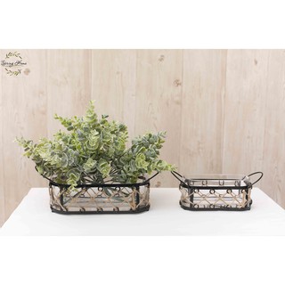 Giỏ đựng hoa thủy tinh trang trí độc đáo, sang trọng, đẹp mắt
