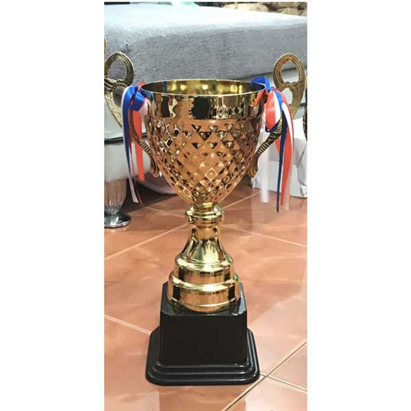 Cúp thể thao,cúp lưu niệm ,cúp đẹp,bền,họa tiết sắc sảo  và giá rẻ-hàng phân phối chính hãng