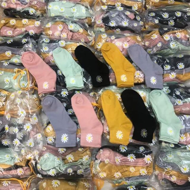 [GIÁ SỐC] Vớ hoa cúc - Tất hoa cúc hoạ mi 10 đôi/set