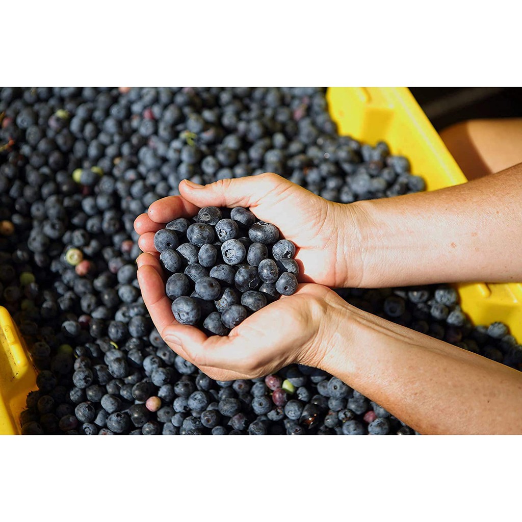 Trái Việt Quất Sấy Khô Blueberries Stoneridge Orchards