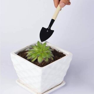 bộ xẻng làm vườn mini combo 3 chiếc