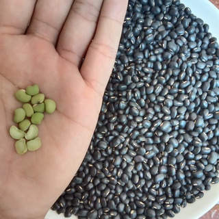 Đậu đen xanh lòng 500g