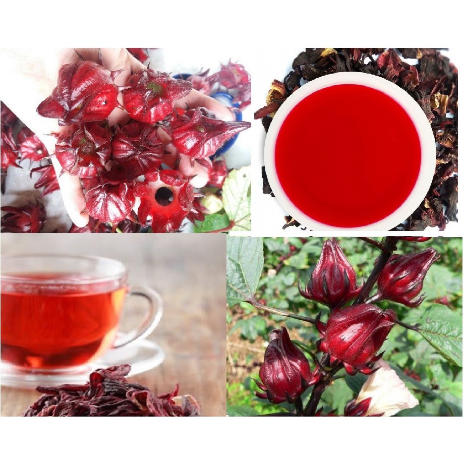 Hoa atiso hibicus sấy lạnh - Gói trà hoa khô - Hoa thảo mộc - Khối lượng 50 gram