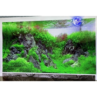 tranh 3d. tranh dán bể cá thủy sinh, bể cá rồng (tranh lưng)