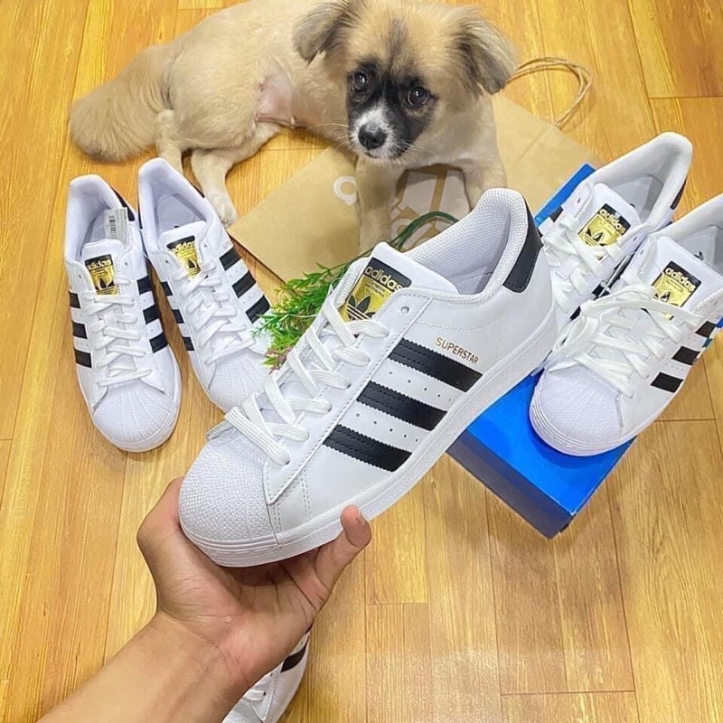 SUPERSTAR TEM VÀNG ADIDAS