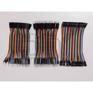 10 sợi dây cắm mạch arduino đủ loại 10cm, 20cm, 30cm