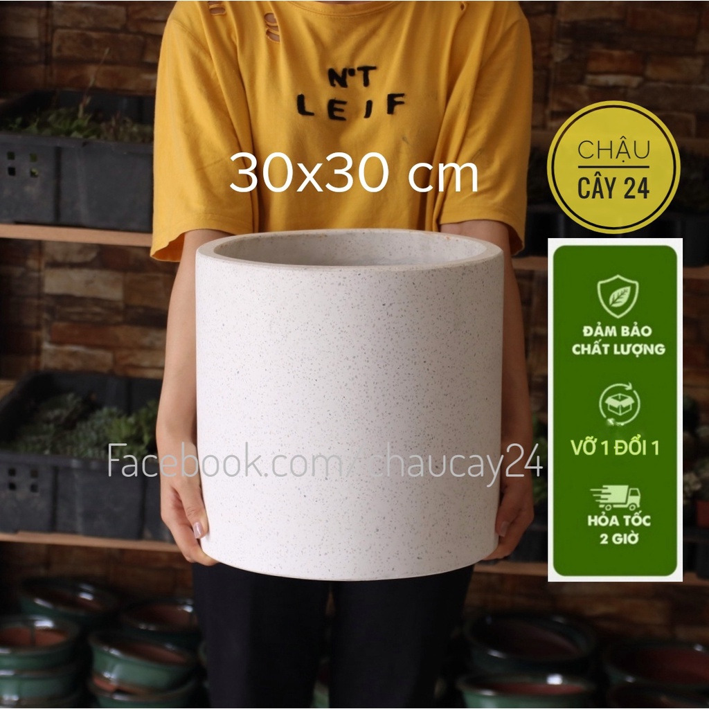 Chậu đá mài tròn lớn, chậu xi măng trồng cây cảnh trong nhà, bàng singapore, kim tiền