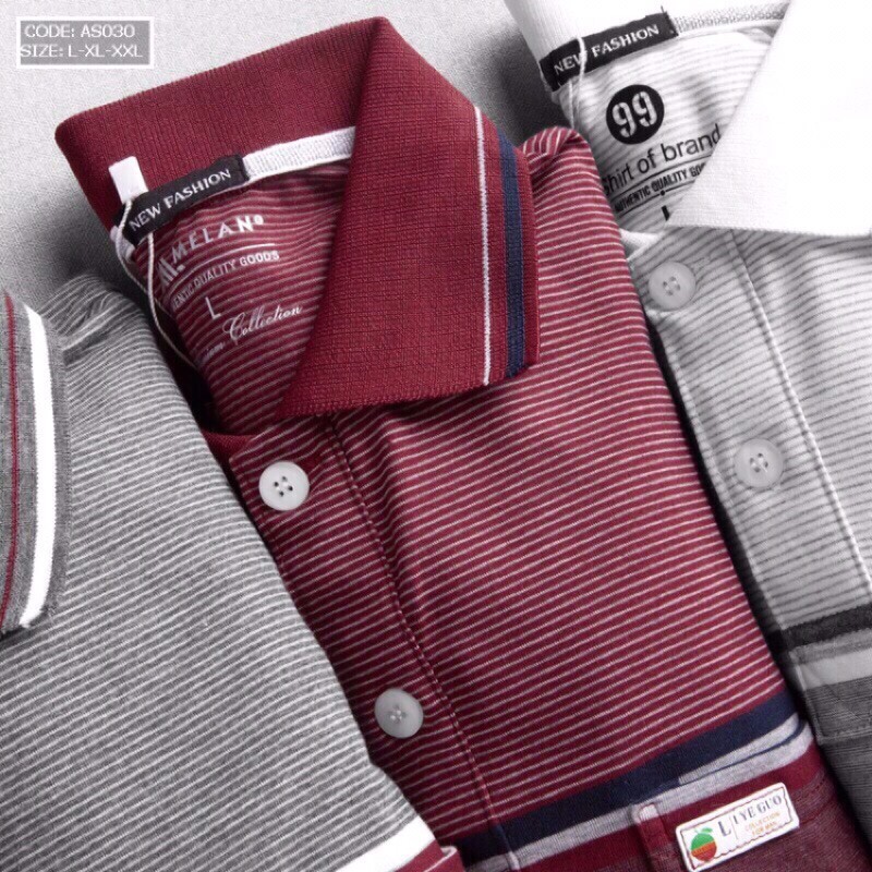 Áo thun nam sọc ngang from trung niên cao cấp ADBP092 | BigBuy360 - bigbuy360.vn