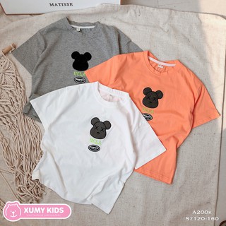 Áo phông mickey UCLA