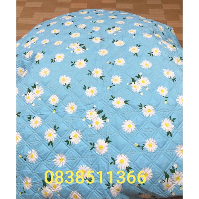 ♥️Bộ Ga Gối chun trần cotton mẫu mới