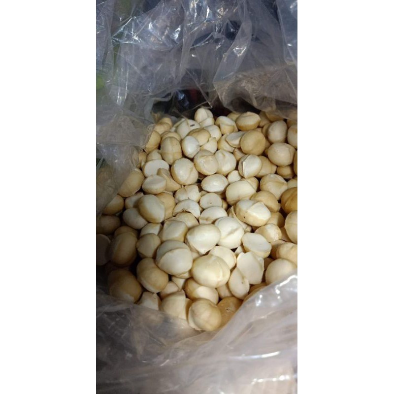 [Mã 267FMCGSALE giảm 8% đơn 500K] 500g HẠT MACA DAKLAK (túi hút ck) | BigBuy360 - bigbuy360.vn