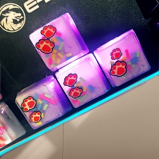 [ ORDER ] RESIN KEYCAP SPRINKLES CHÂN MÈO