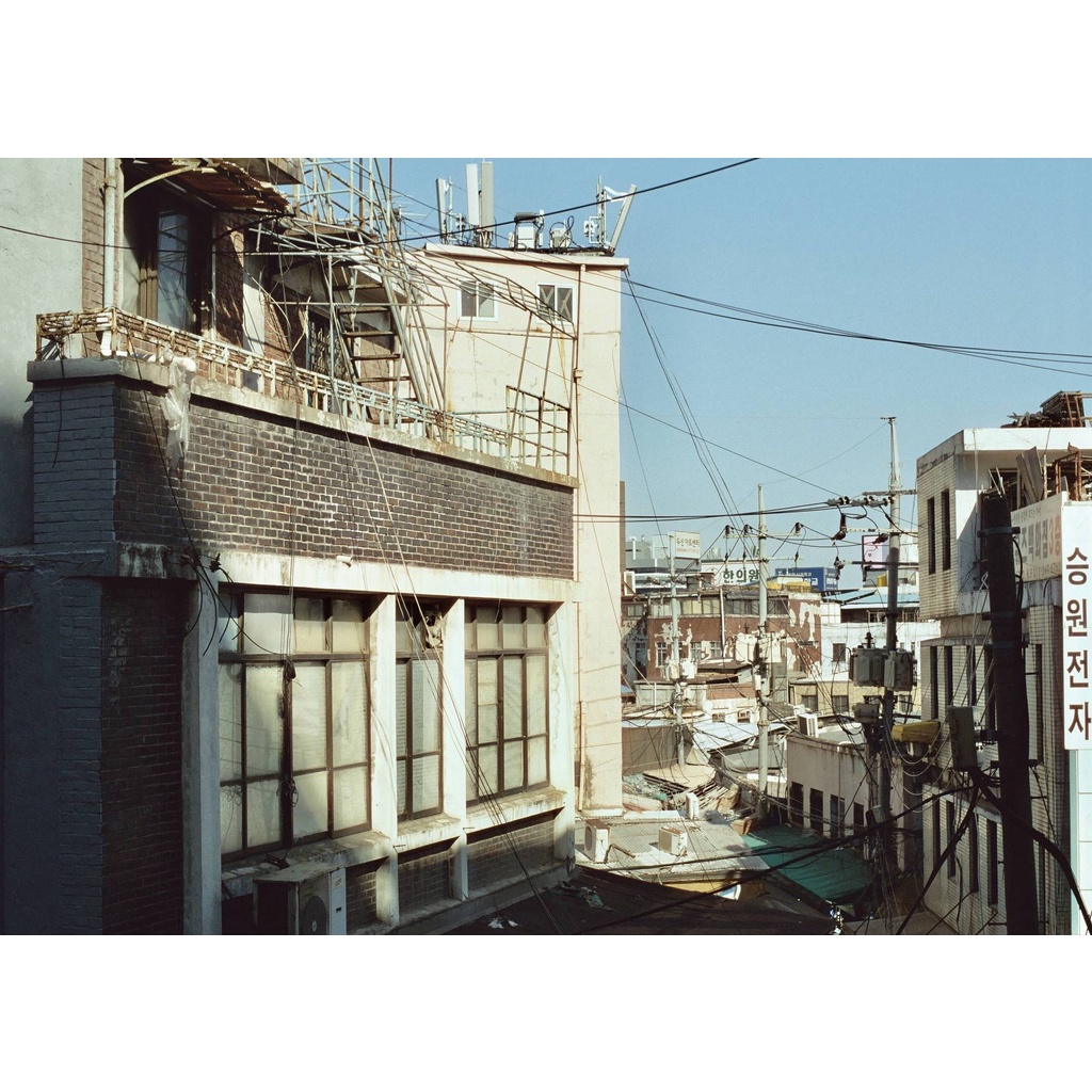 Phim CineStill 50D ISO 50, Màu Color, 120 x 12 Kiểu Vuông, Out Date Nhẹ Cho Máy Chụp Ảnh Film - LIIQ Flash