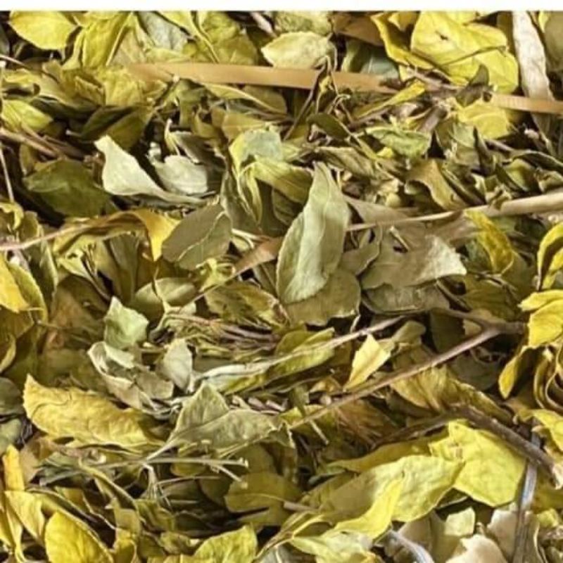 (Giá 1kg -500gr)Chè Dung uống ngon nước hỗ trợ dạ dày.tiêu ho'á kém