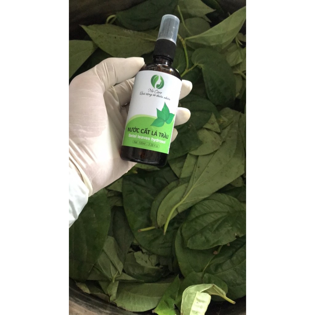 Nước Cất Lá Trầu Không Nguyên Chất 100ml