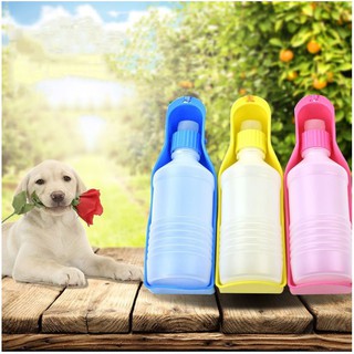 Bình nước du lịch cao cấp cho chó mèo thú cưng 250ml