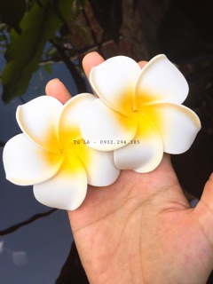 KẸP HOA SỨ 7cm