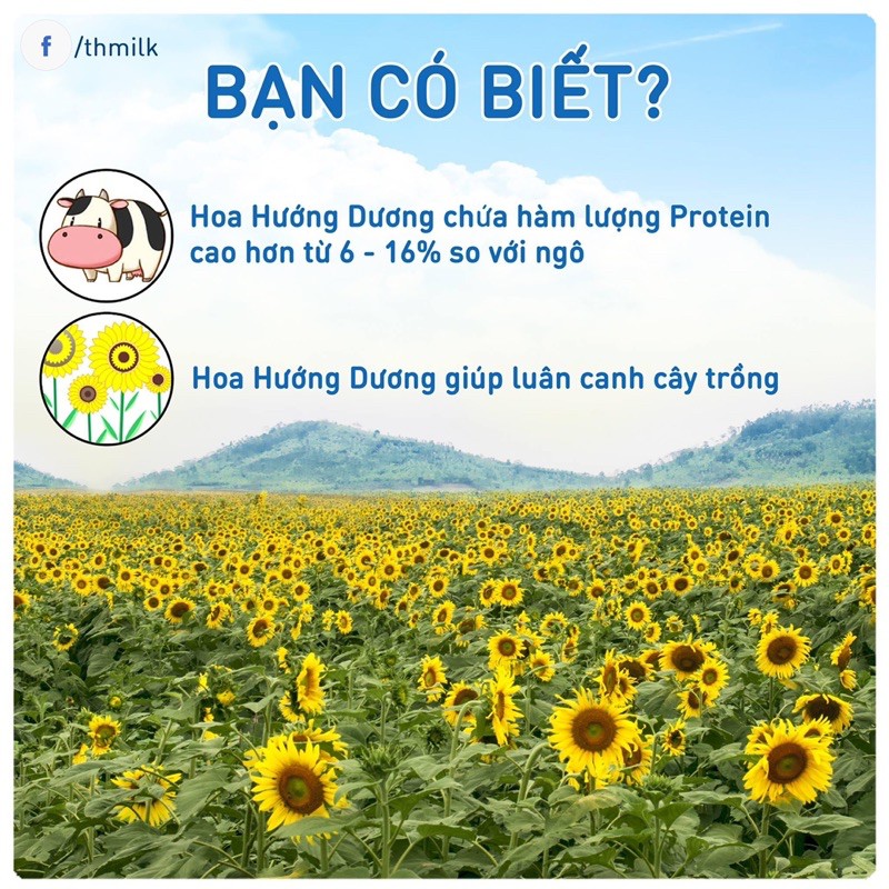 25 hộp sữa chua TH true milk