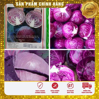 Hạt Giống Cải Bắp Tím(40 hạt)