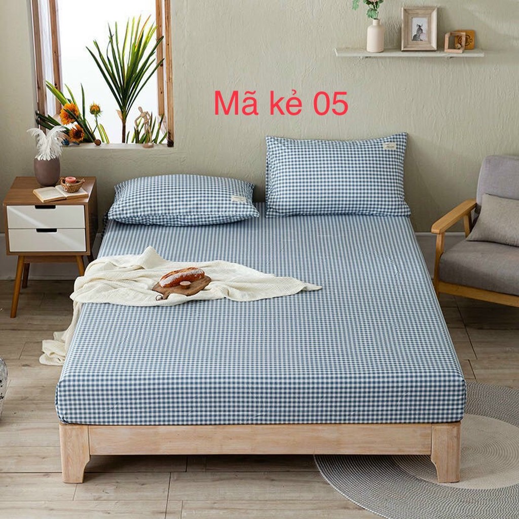 Bộ GA+2 VỎ GỐI CAO CẤP