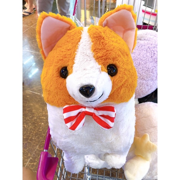 Gấu Bông Chó Corgy 45cm - Amuse new 100%