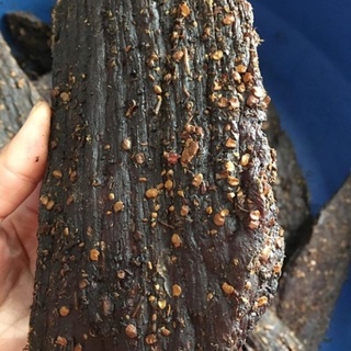 Thịt Trâu Gác Bếp Tây Bắc 1kg [ nhà làm 100% Trâu thật ]