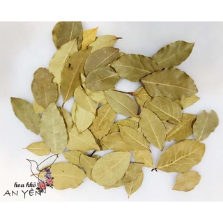 Lá nguyệt quế khô
