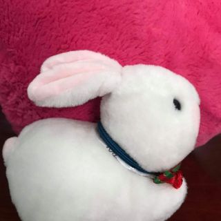 Thú nhỏ đủ loại part 1