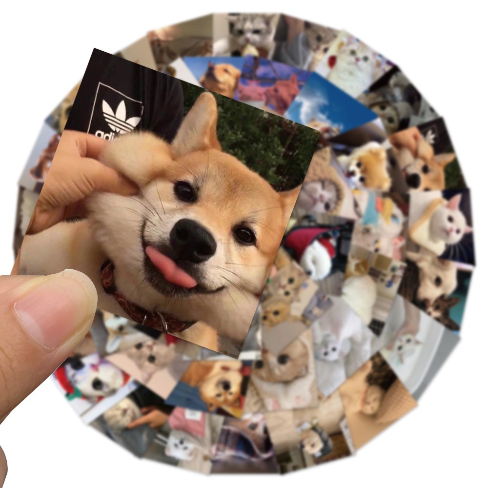 Set 10/25/50 miếng dán trang trí hình mèo đáng yêu chống thấm nước đa năng tiện lợi