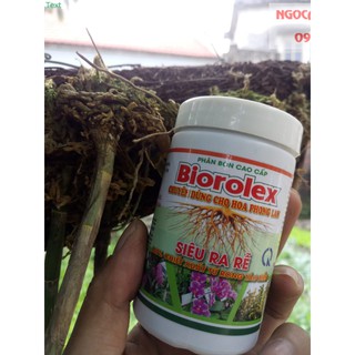 SIÊU RA RỄ BIOROLEX TOP(100% Chiết suất từ rong tảo biển)