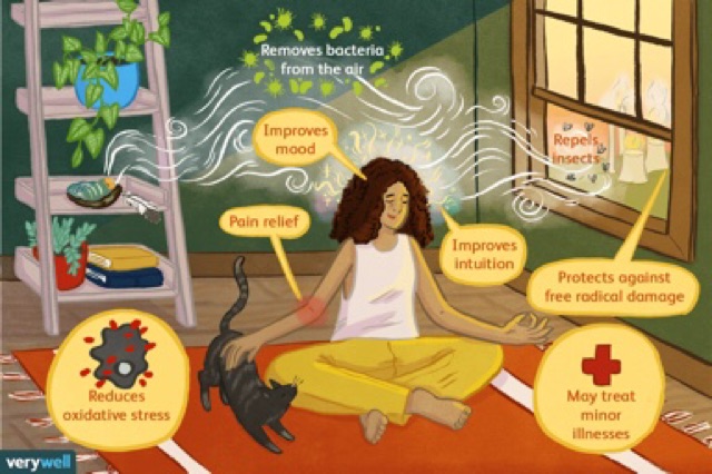 🚀[HÀNG NHẬP KHẨU - ĐỘC QUYỀN] 🌳Xô Thơm Trắng Xông Nhà White Sage Hương Tự Nhiên 100%🌍 7 innch | BigBuy360 - bigbuy360.vn