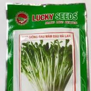 Hạt giống rau mầm đậu hà lan gói 50gram
